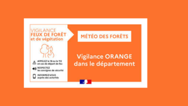 Le département de l'Allier est placé en risque élevé « feux de forêt »
